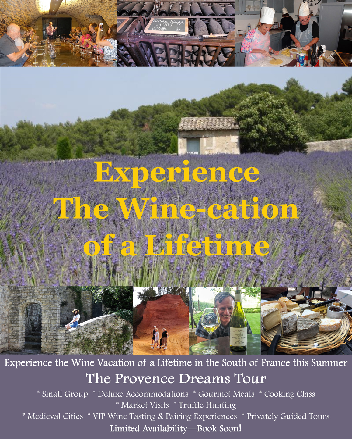 Provence Dreams Tour