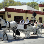 St Augustine Beer Safari 