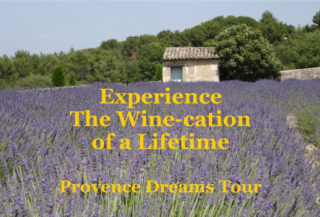 South of France Wine Tour - The Provence Dreams Tour